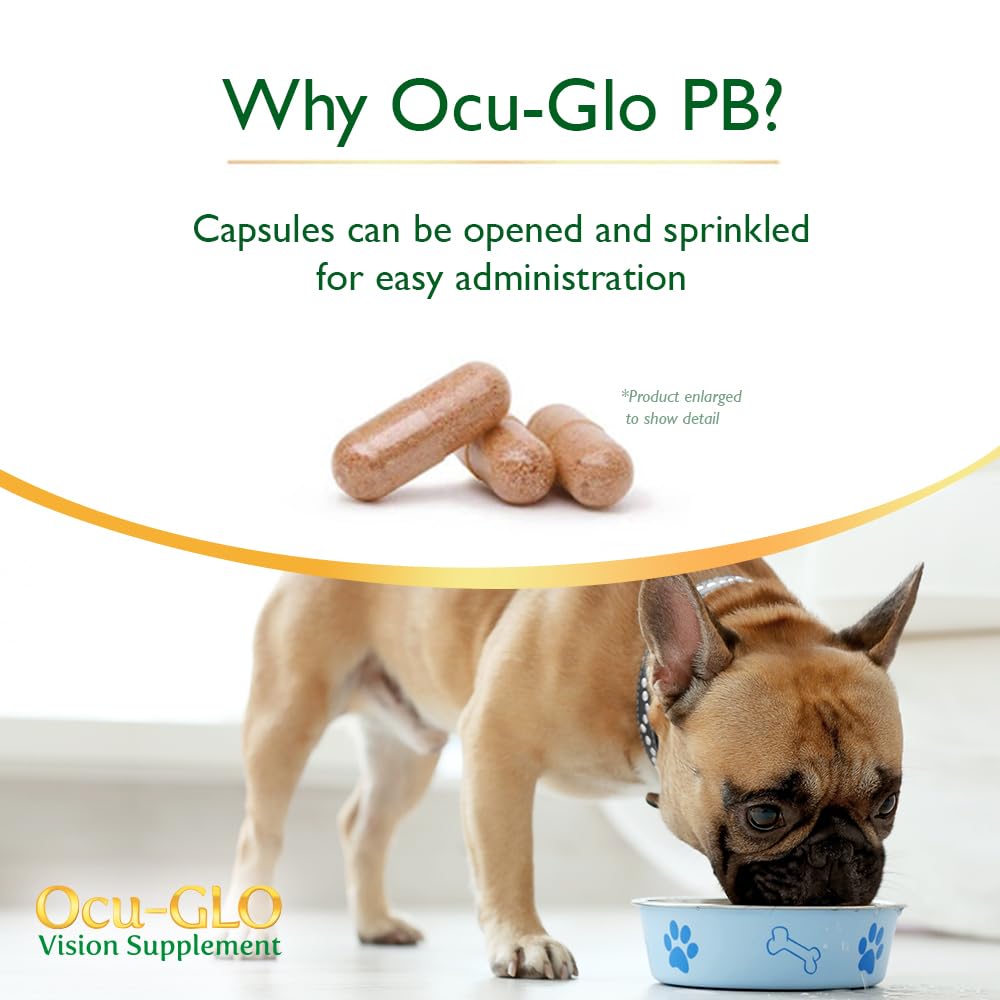 Ocu-GLO PB Vision antioxydants et astaxanthine pour une protection potentielle.
