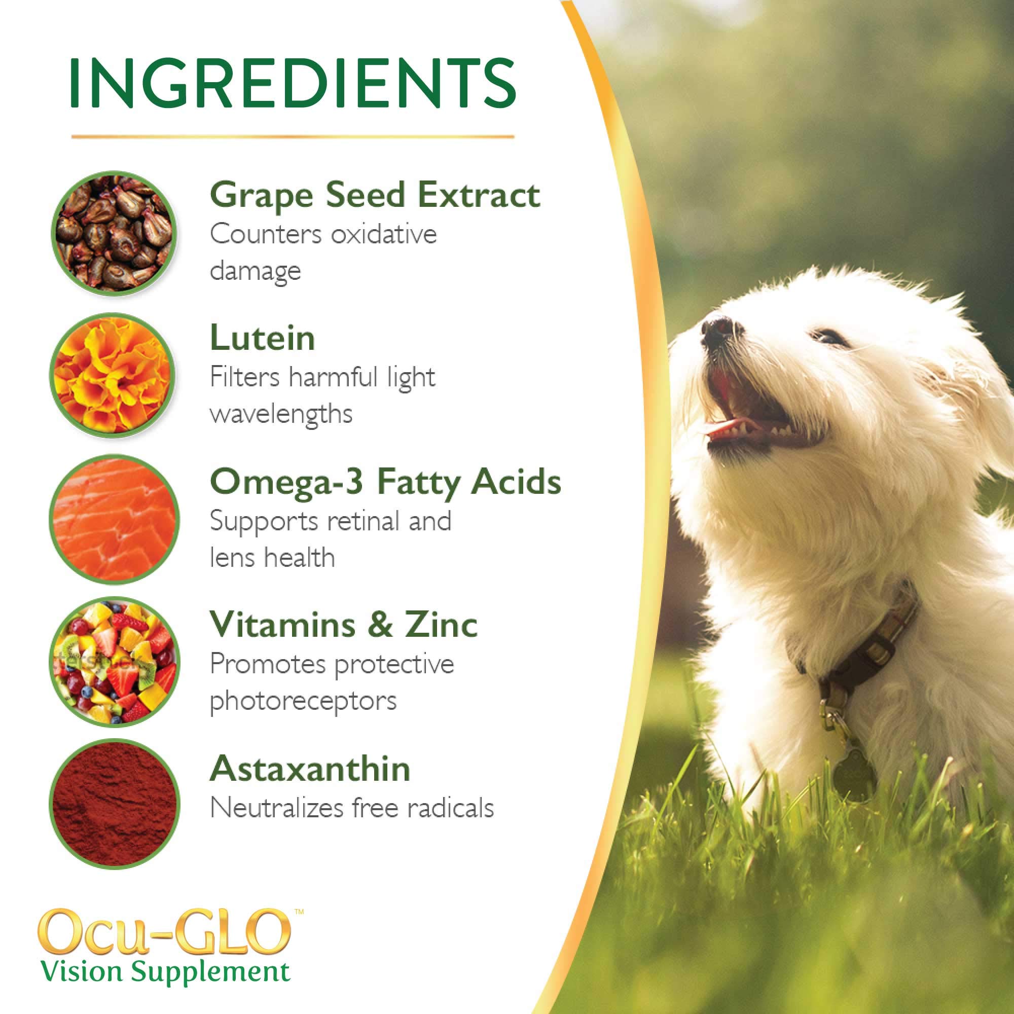 Ocu-GLO PB Vision dose quotidienne en poudre, rituel simple lors des repas.