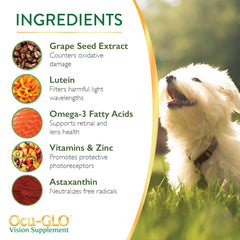 Ocu-GLO PB Vision dose quotidienne en poudre, rituel simple lors des repas.