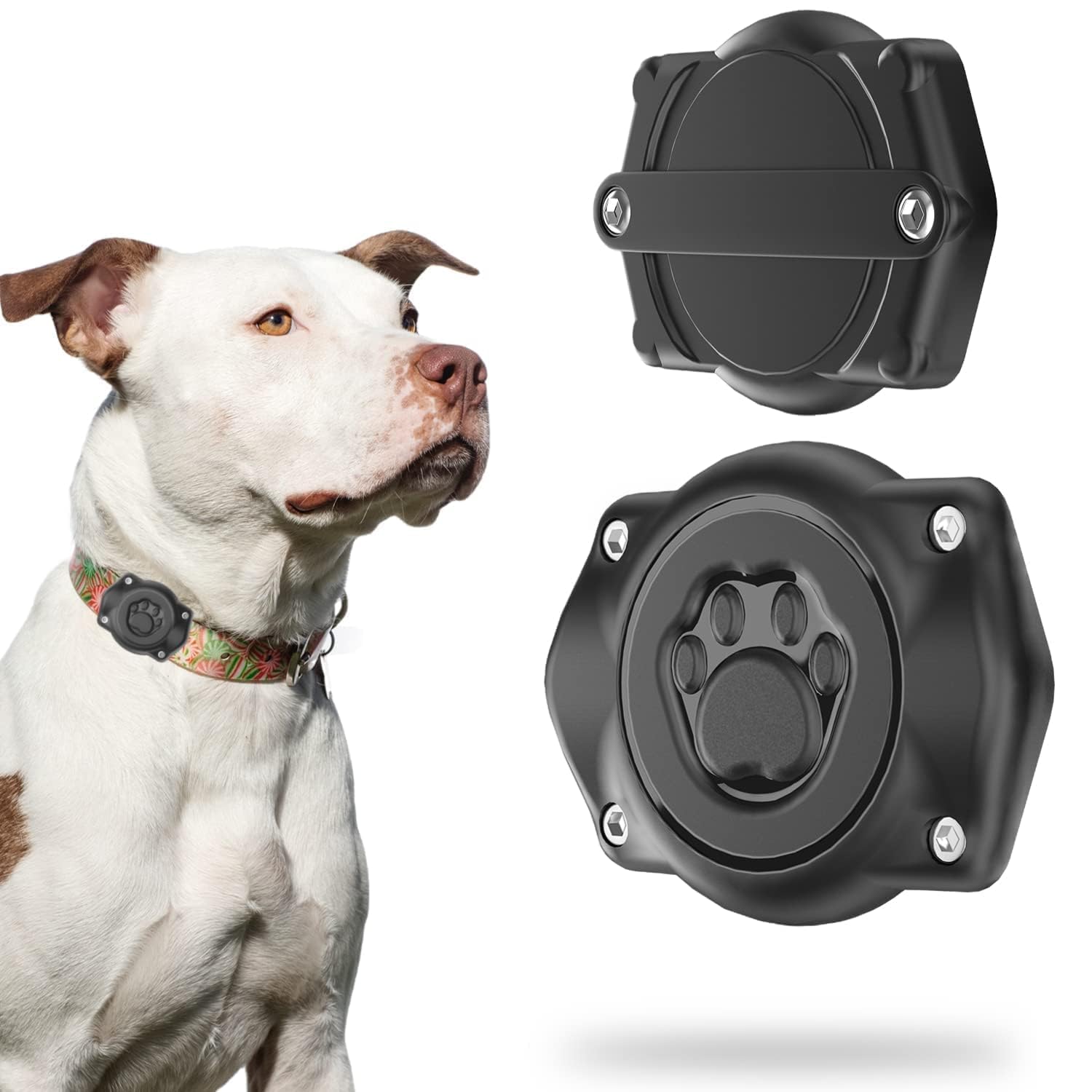 Odokele porte AirTag pour collier chien, étanche et sûr lors de la baignade.