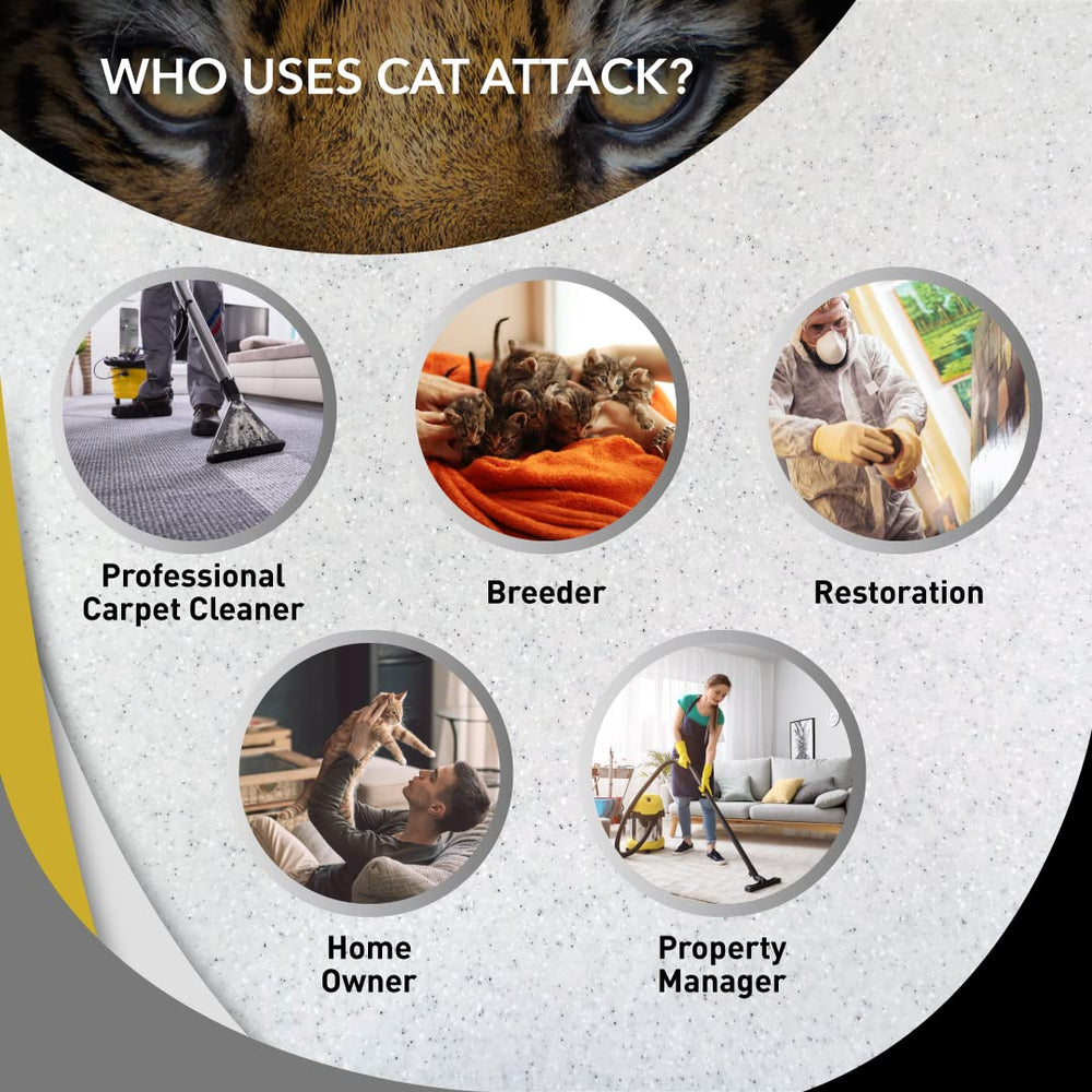 Application sur tapis avec Odorcide Cat Attack Concentrate et parfum abricot.