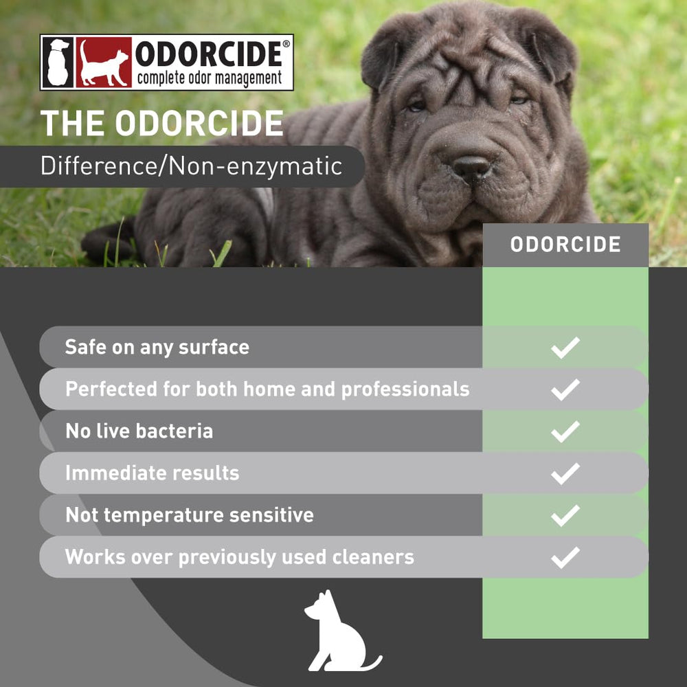 Odorcide Concentre: application sur tapis pour éliminer odeurs tenaces