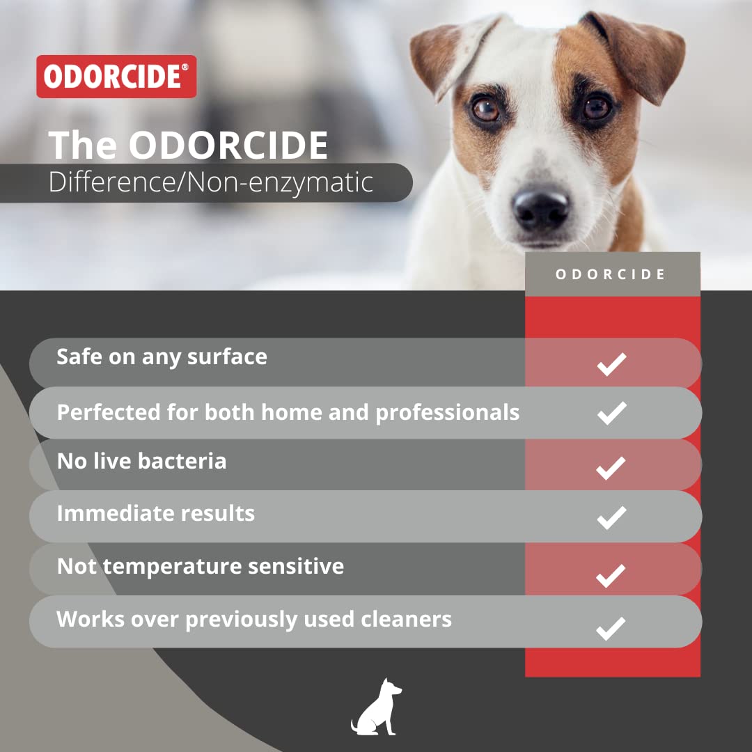 Odorcide : sécurité pour enfants et animaux après utilisation