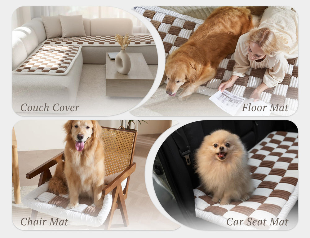 ODreamyDogs design-douce apportant une touche élégante au salon.