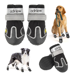 Chaussures ODRIEW chien, vue avant, protection des pattes et ajustement sûr.