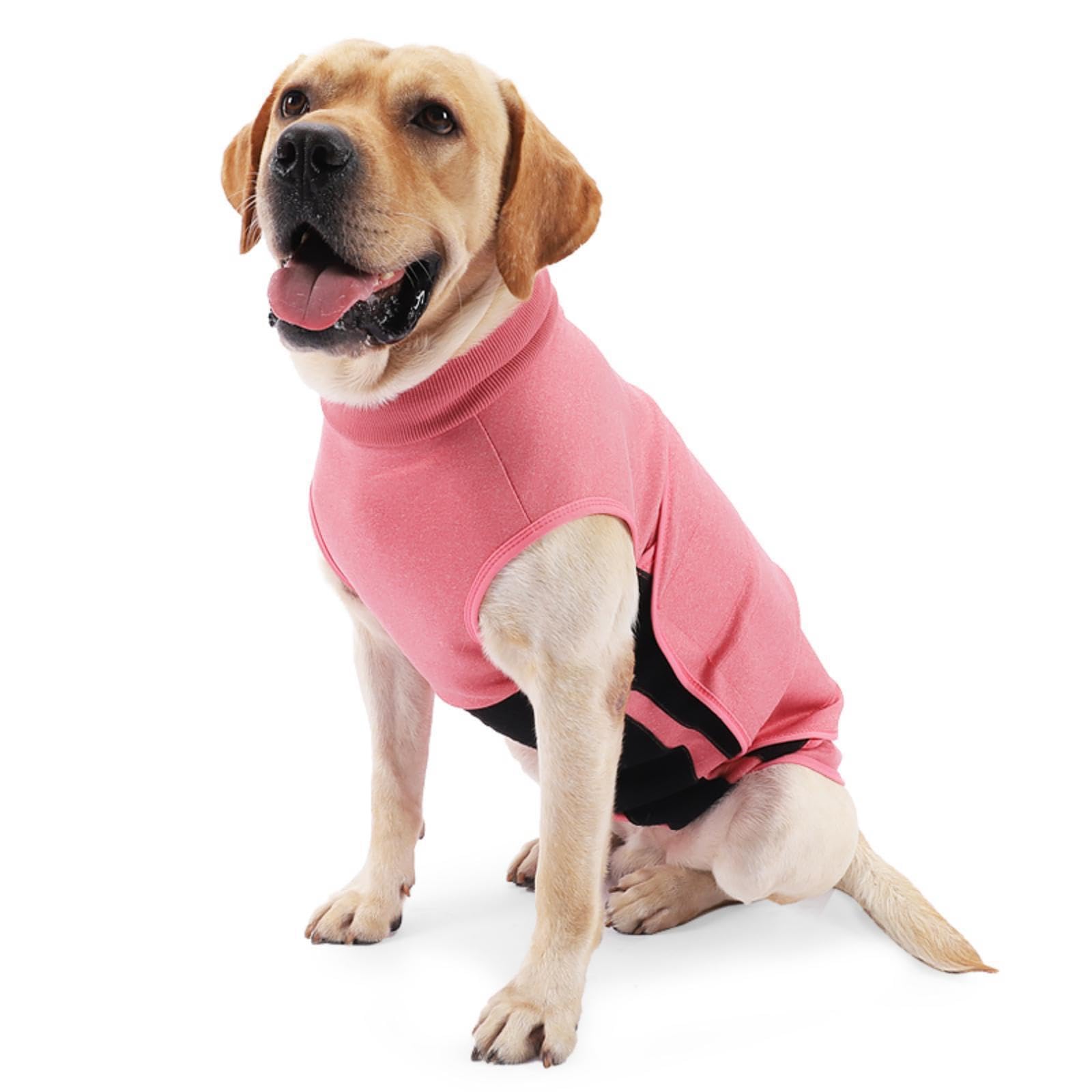 ODSSTAIPS gilet anti-anxiété pour chien en action pendant un orage, confort possible.