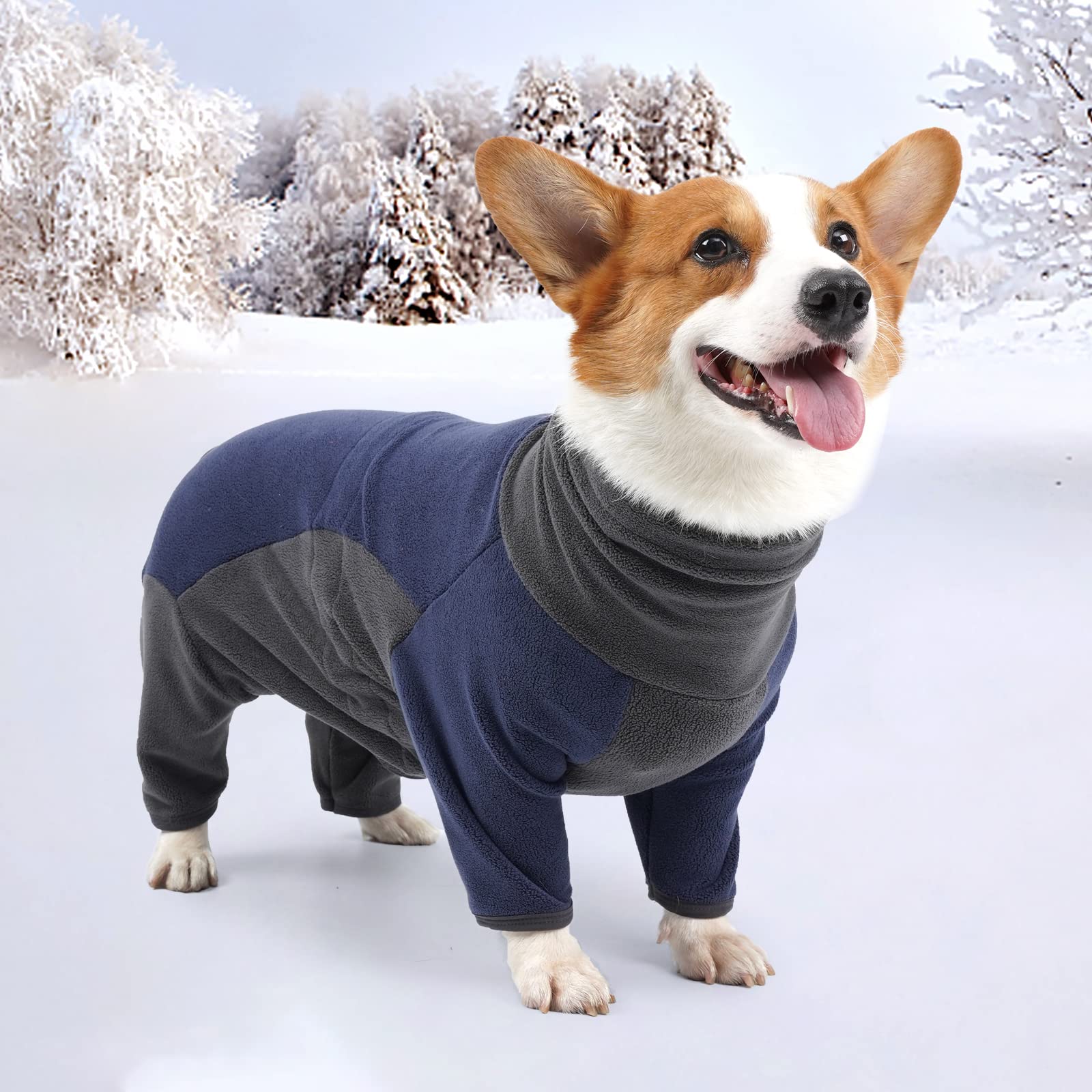 ODSSTAIPS guide tailles chien: vérifiez le guide pour un ajustement sûr.