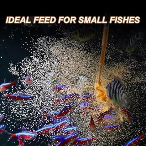 Œufs-crevettes-brines-premium nauplii frais pour nourrir rapidement les alevins