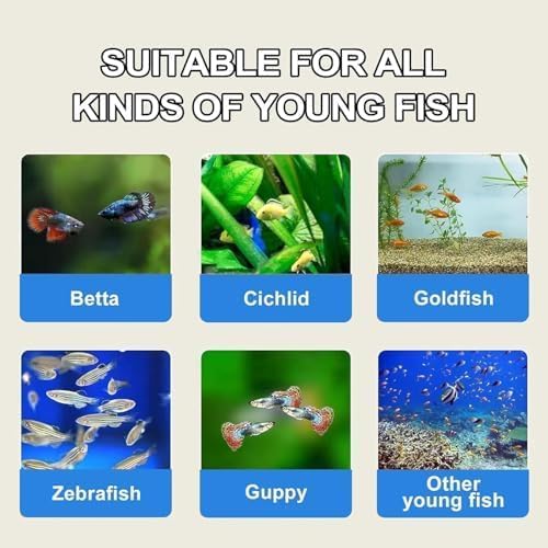 Œufs-crevettes-brines-premium couleur plus vive des poissons