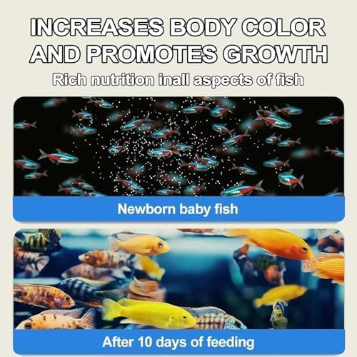 Œufs-crevettes-brines-premium utilisation facile en aquarium