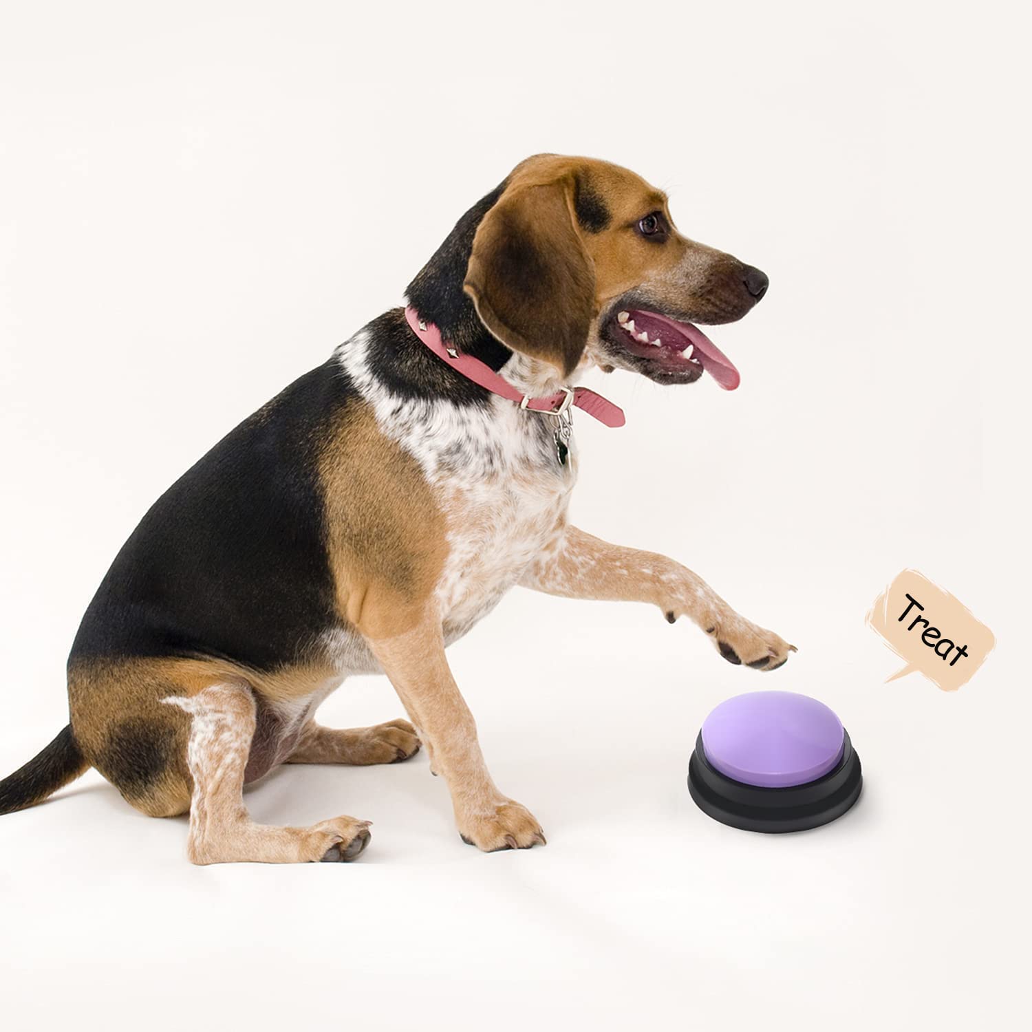 OFVENS bouton-commande-pour-chien-chat, associe mots simples à des actions.