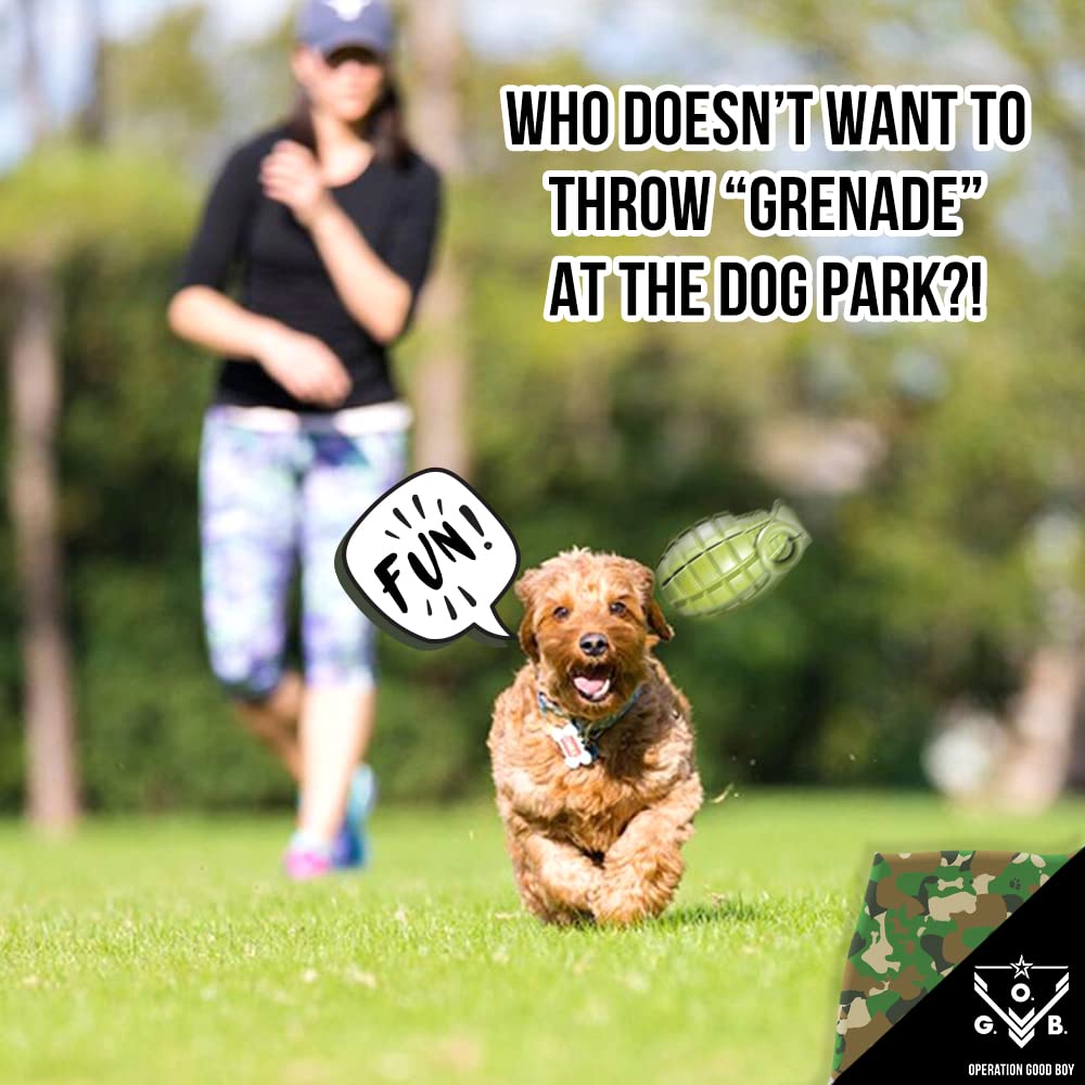 O.G.B. grenade-jouet-grand-chien: conçu pour les chiens moyens et grands actifs.