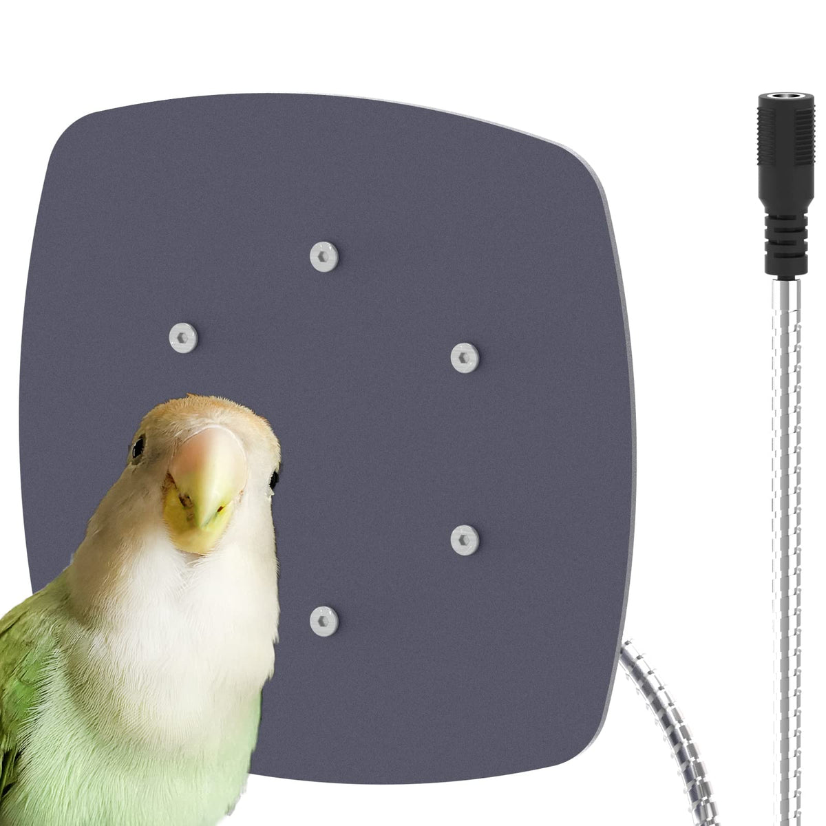 Ogioxam Chauffe-Oiseau pour Cage – chaleur douce et sécurisée pour les perruches.