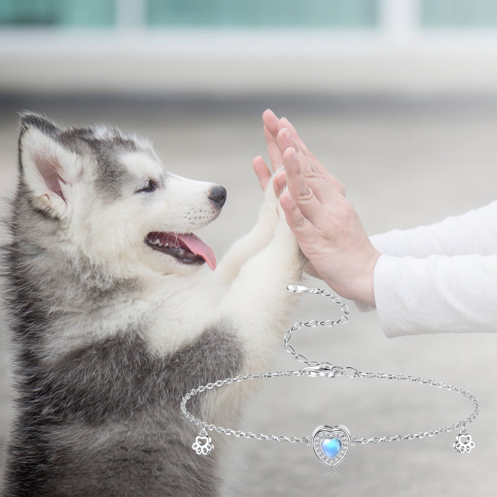 Ogoodsunj bracelet urne animaux, argent 925 et pierres lumineuses pour mémoire.