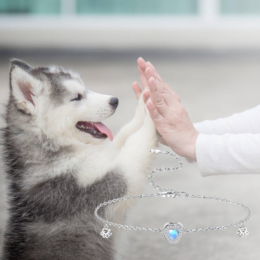 Ogoodsunj bracelet urne animaux, argent 925 et pierres lumineuses pour mémoire.