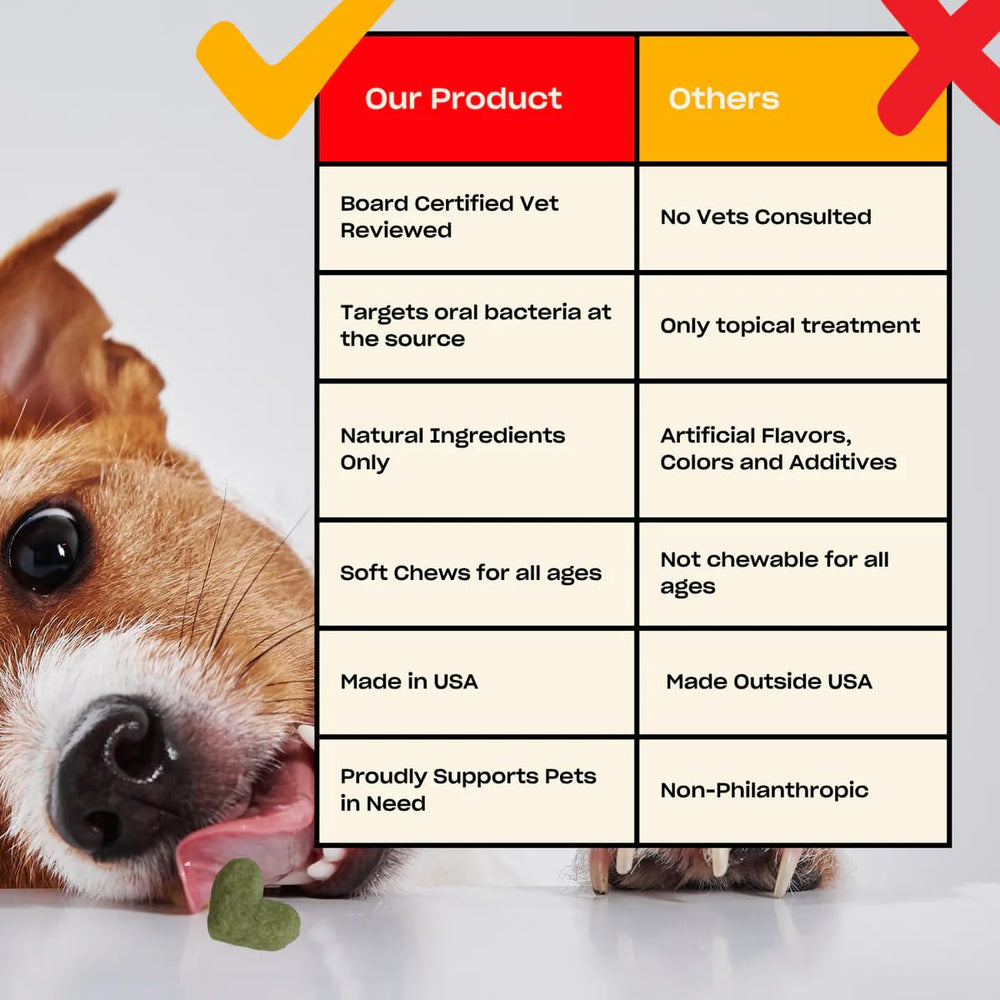 OH NORMAN! fabrique-aux-usa-chien — produit pensé et fabriqué avec des normes vétérinaires.