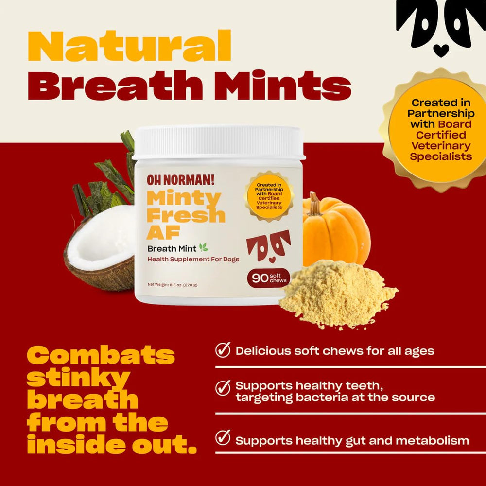 OH NORMAN! sante-digestive-chien — soutien possible pour digestion et haleine.