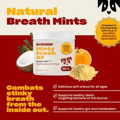 OH NORMAN! sante-digestive-chien — soutien possible pour digestion et haleine.