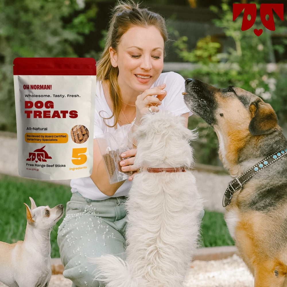 OH NORMAN! snack portionné pratique pour l'entraînement et les promenades.