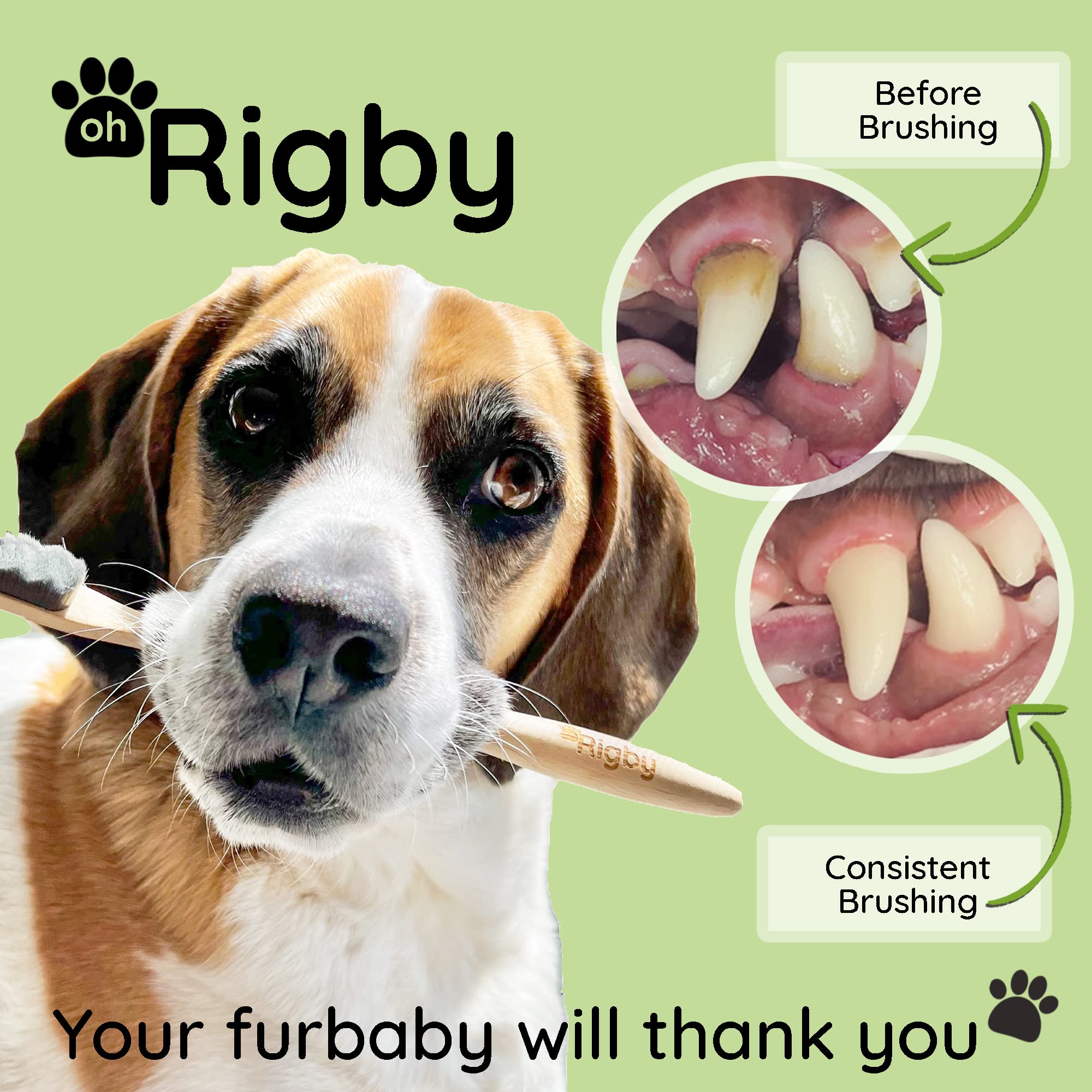 OH RIGBY-tete-brosse-large: nettoyage en douceur des dents et gencives sensibles.