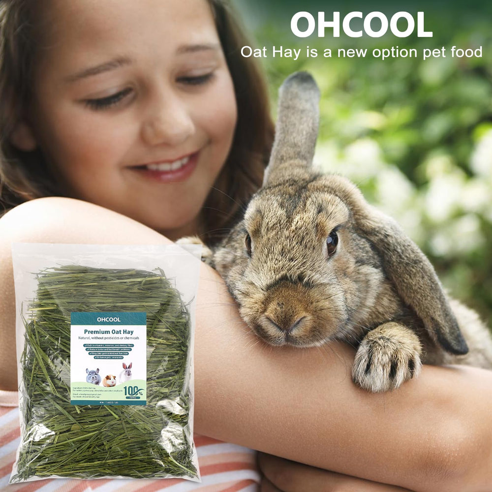 Ohcool Foin d'avoine pour animaux – aide à l'hygiène dentaire par la mastication.