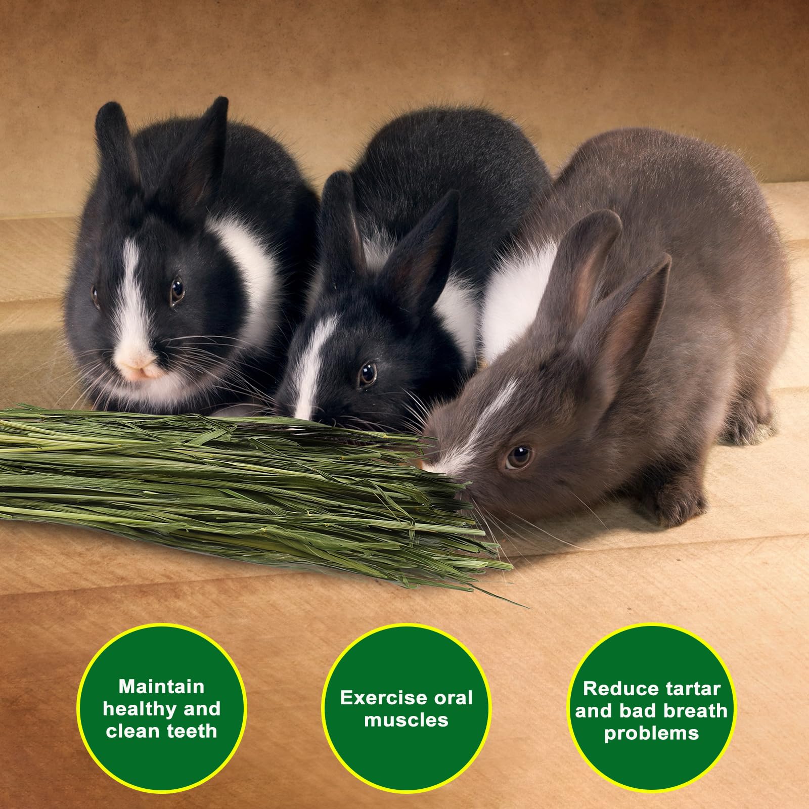 Ohcool Foin d'avoine naturel séché – texture agréable et appétit stimulant.