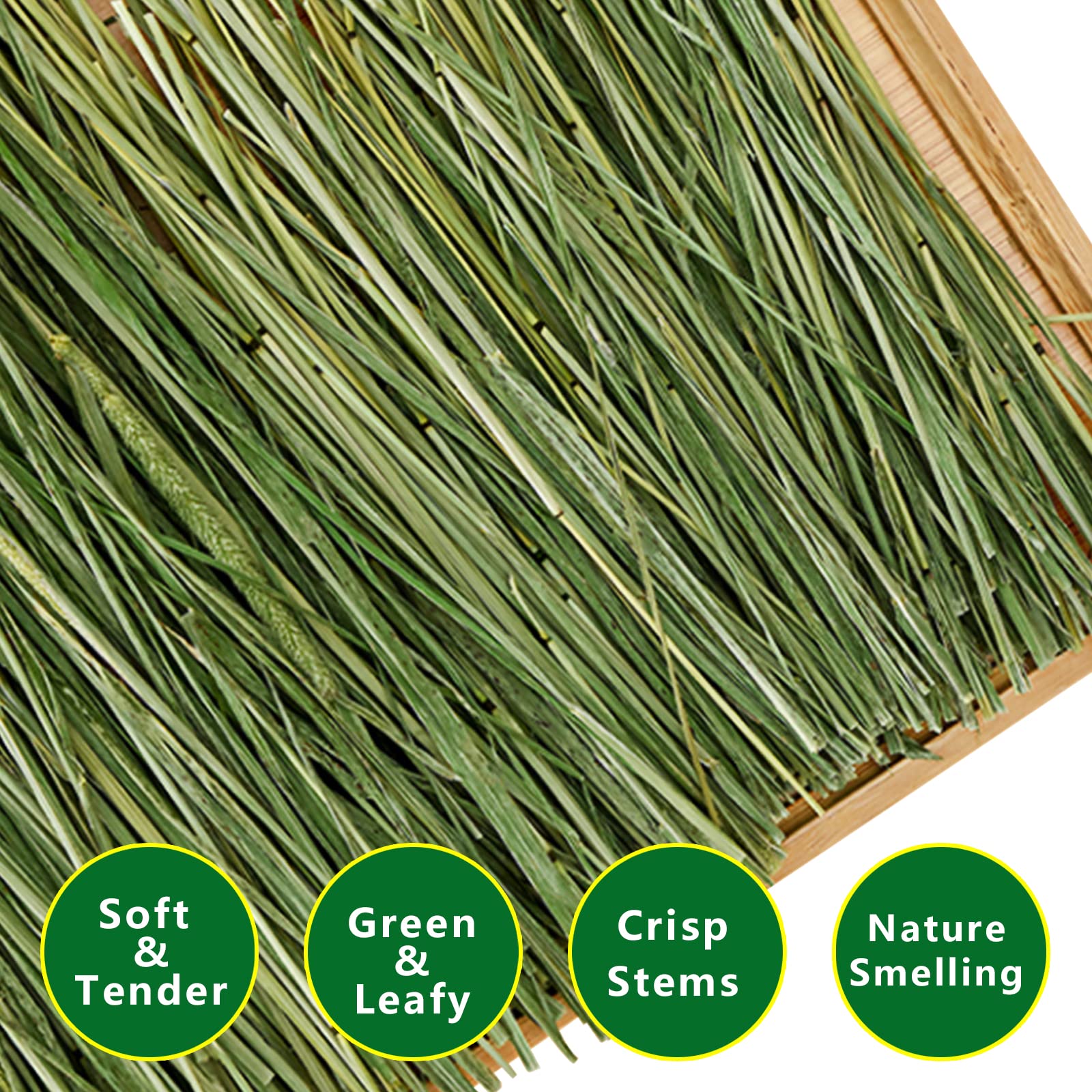 Ohcool Foin Timothe – ingrédients naturels sans additifs chimiques.