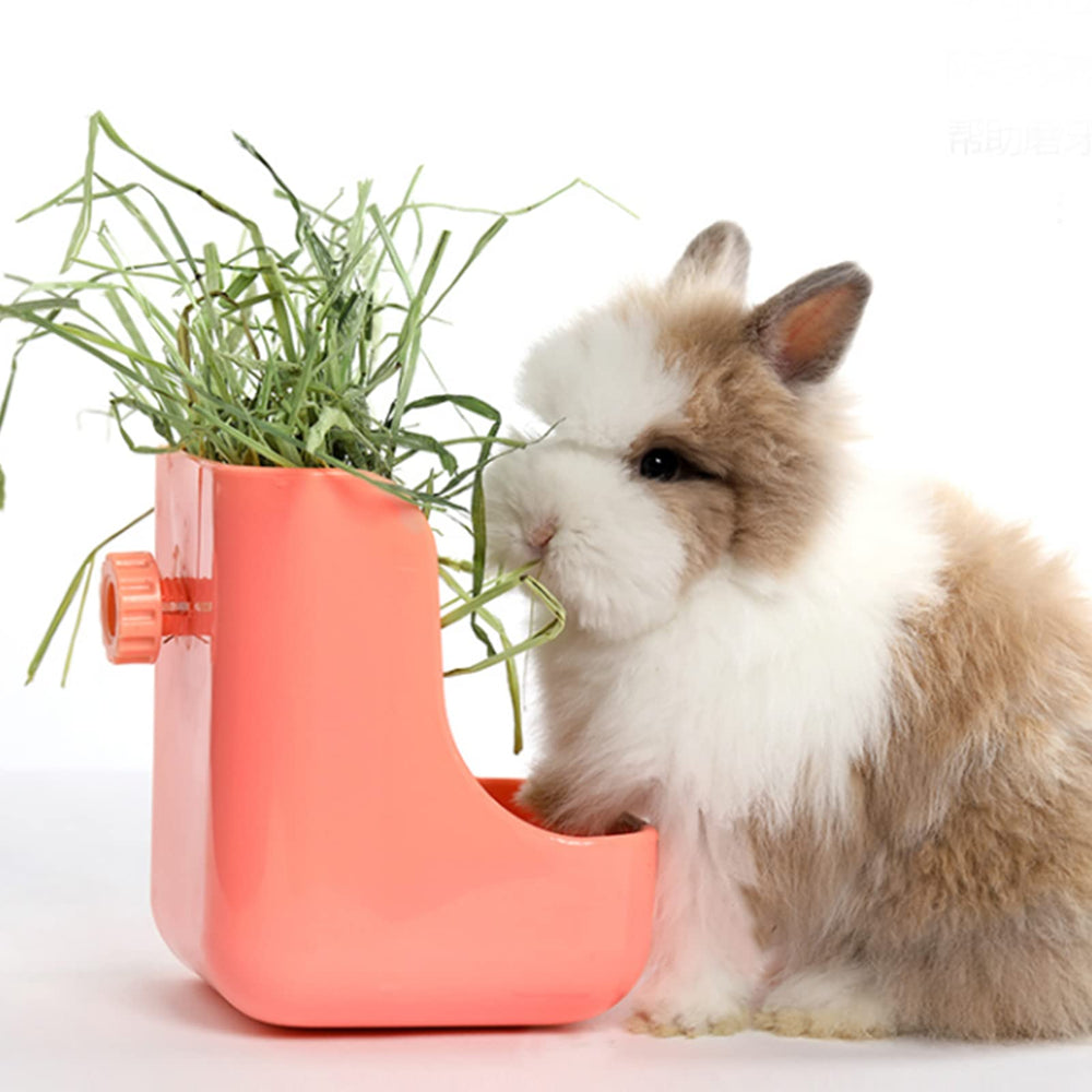 Ohcool Foin Timothe – utilisation quotidienne pratique pour lapins et compagnons.