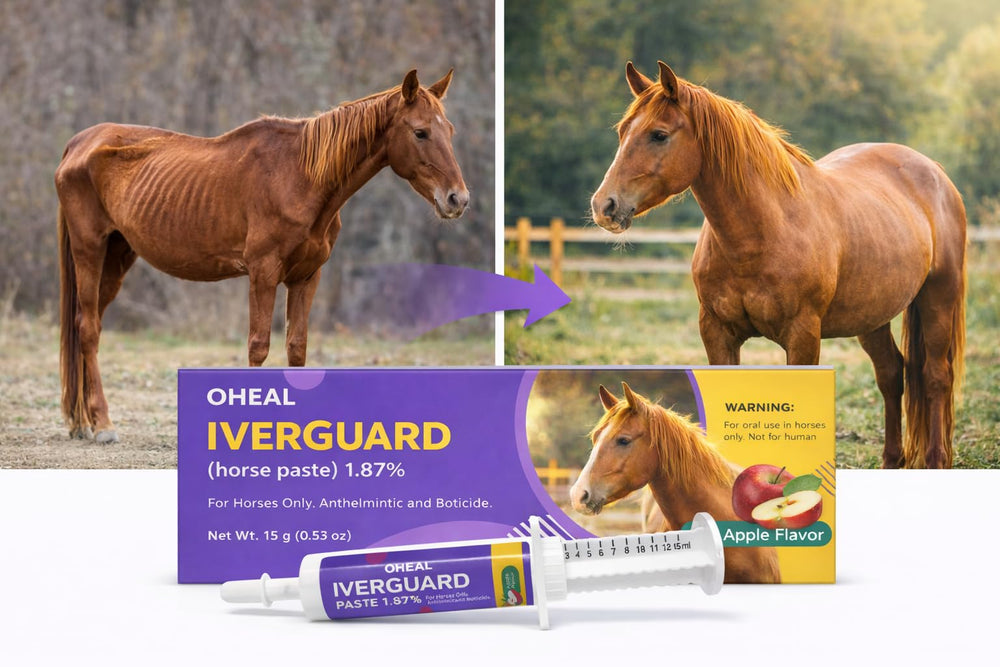 OHEAL IverGuard Pâte administrée avec l’alimentation, pratique en écurie quotidienne.