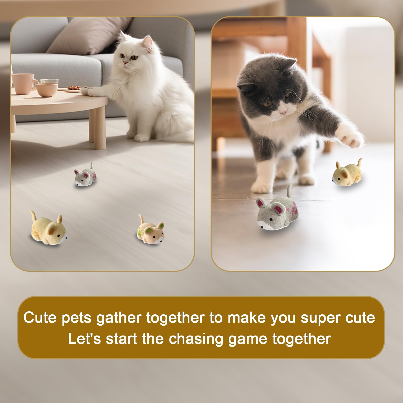 OHGOSH relief-stress-animaux: peut aider à réduire le stress et l'ennui en intérieur.