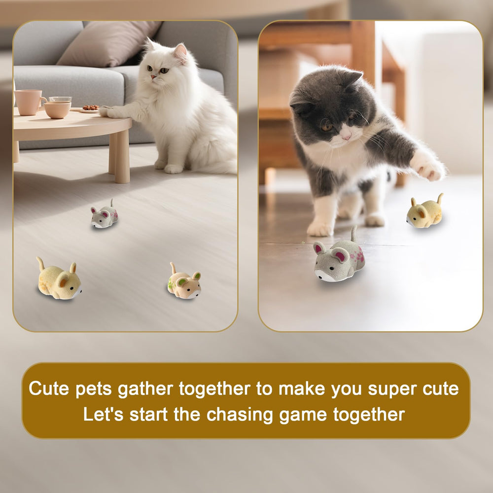 OHGOSH relief-stress-animaux: peut aider à réduire le stress et l'ennui en intérieur.