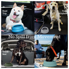Bol OHMO en silicone pliable pour chats et chiens, compact et utile en déplacement.