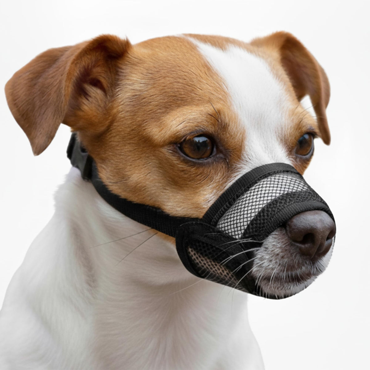 OHNSO museau petit chien – mesh respirant pour respiration facile pendant les promenades.