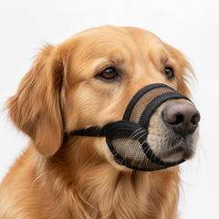 OHNSO museau chien grande en mesh respirant pour ventilation optimale.