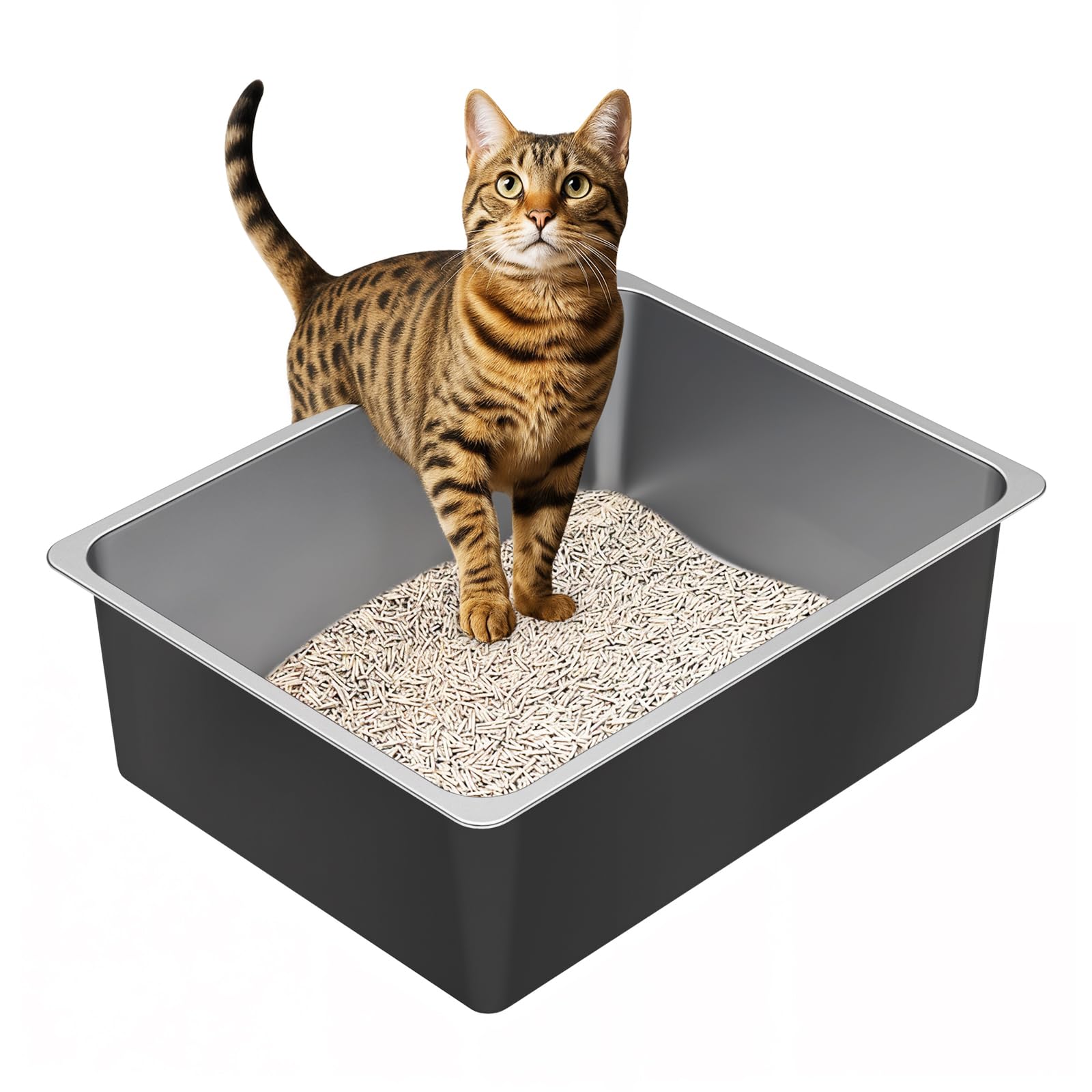 Ohtomber litière inoxydable avec intérieur spacieux pour chats et lapins.
