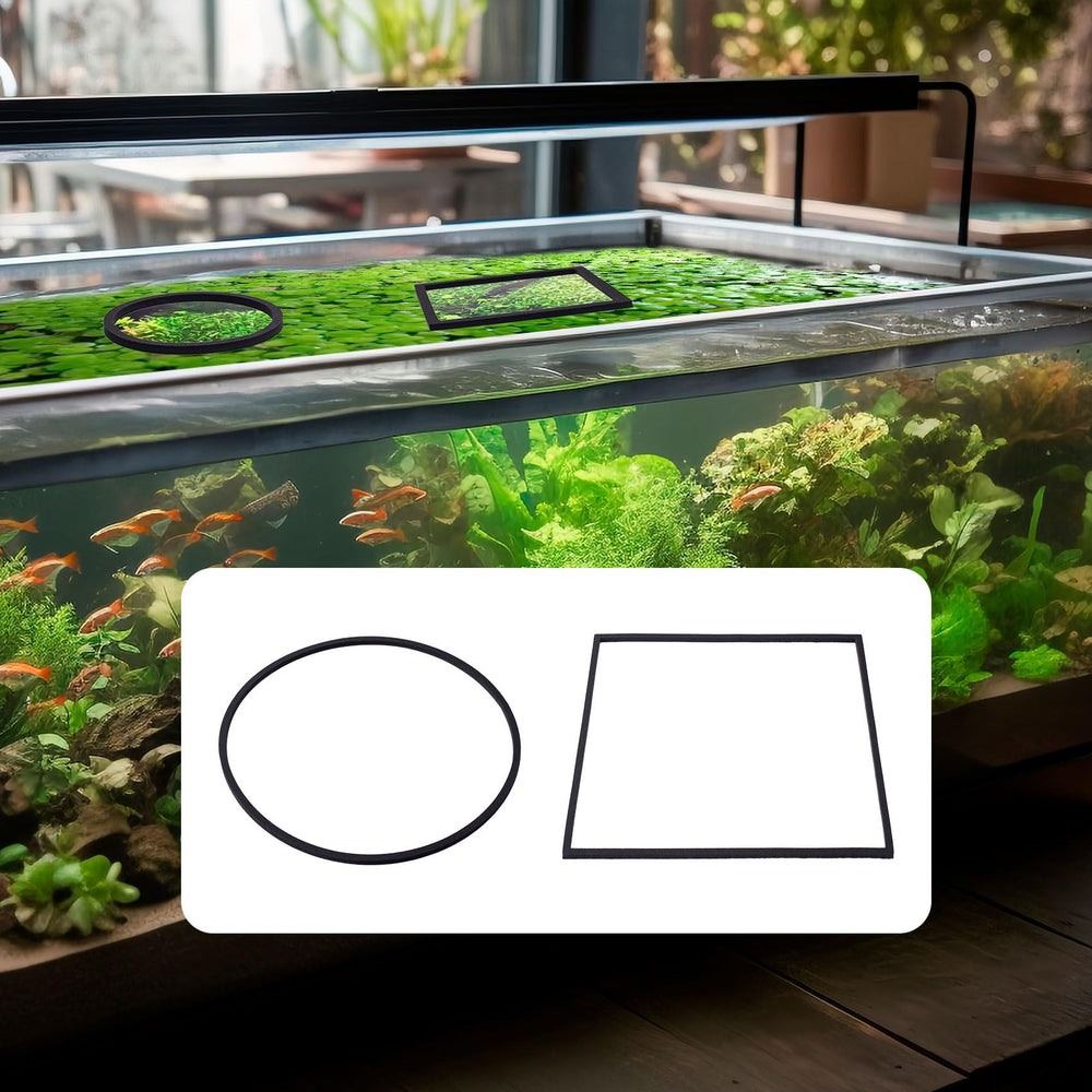OIIKI anneau d'alimentation carré 9 cm, zones d’alimentation distinctes et efficaces