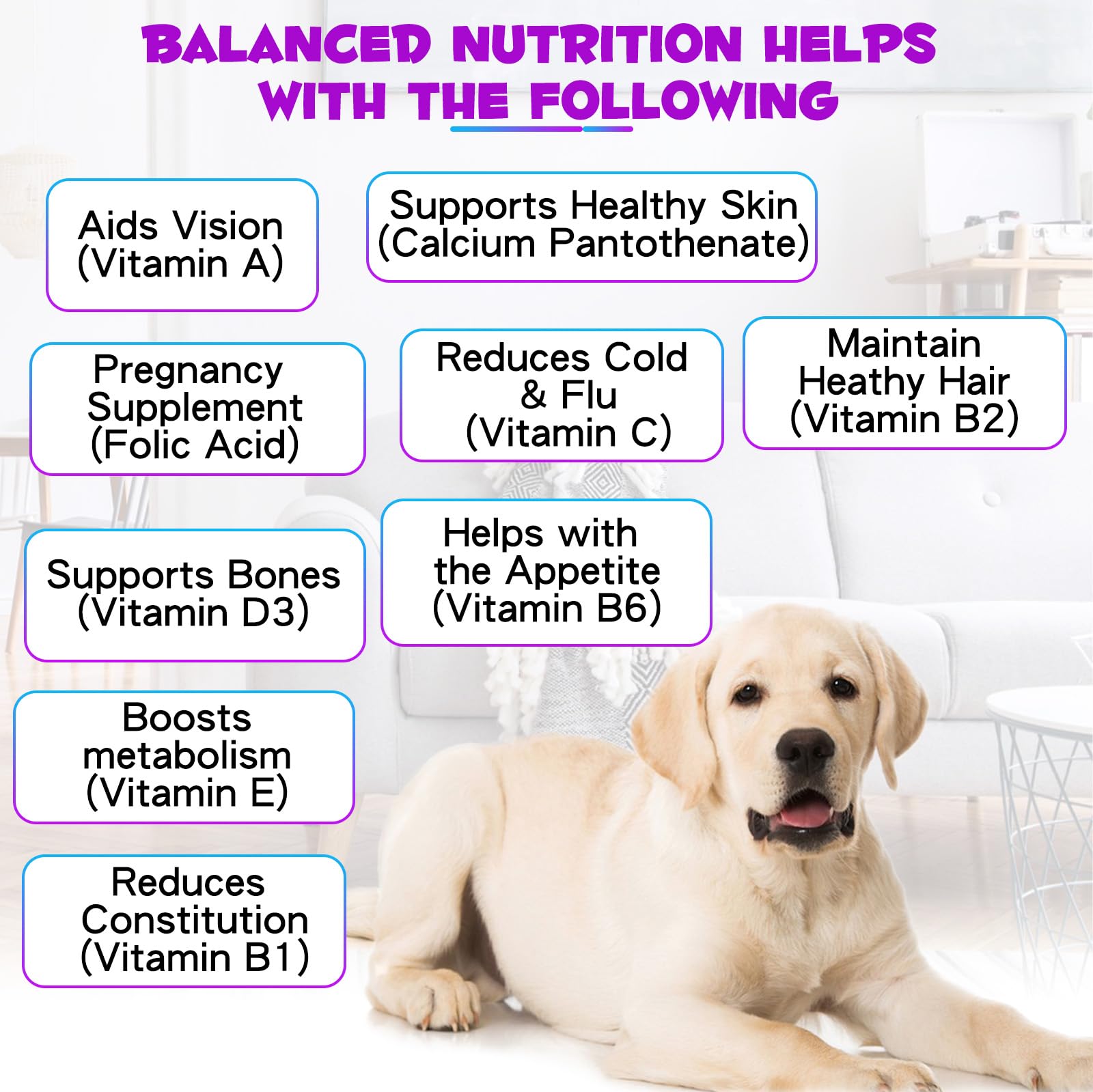 Produit polyvalent pour chiens de tous âges et tailles — Oimmal 15 en 1.