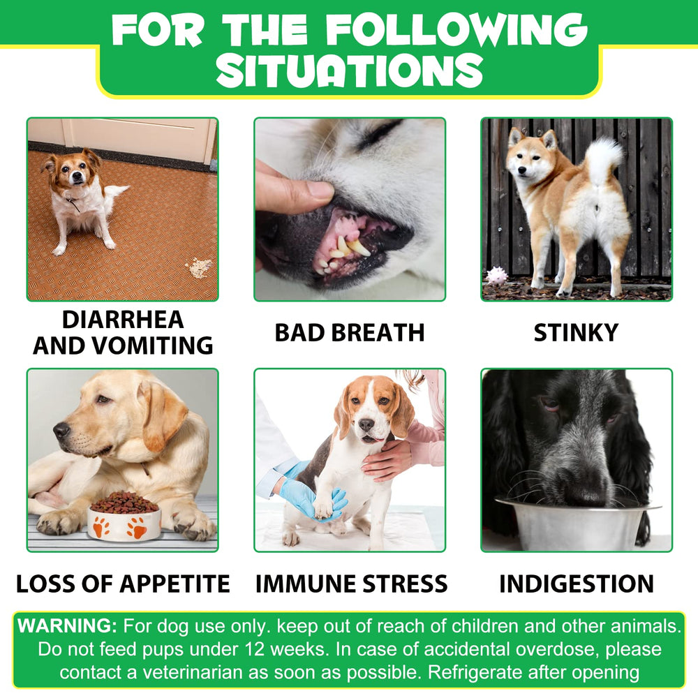Oimmal diarrhee chien prebiotiques probiotics: soutien du transit