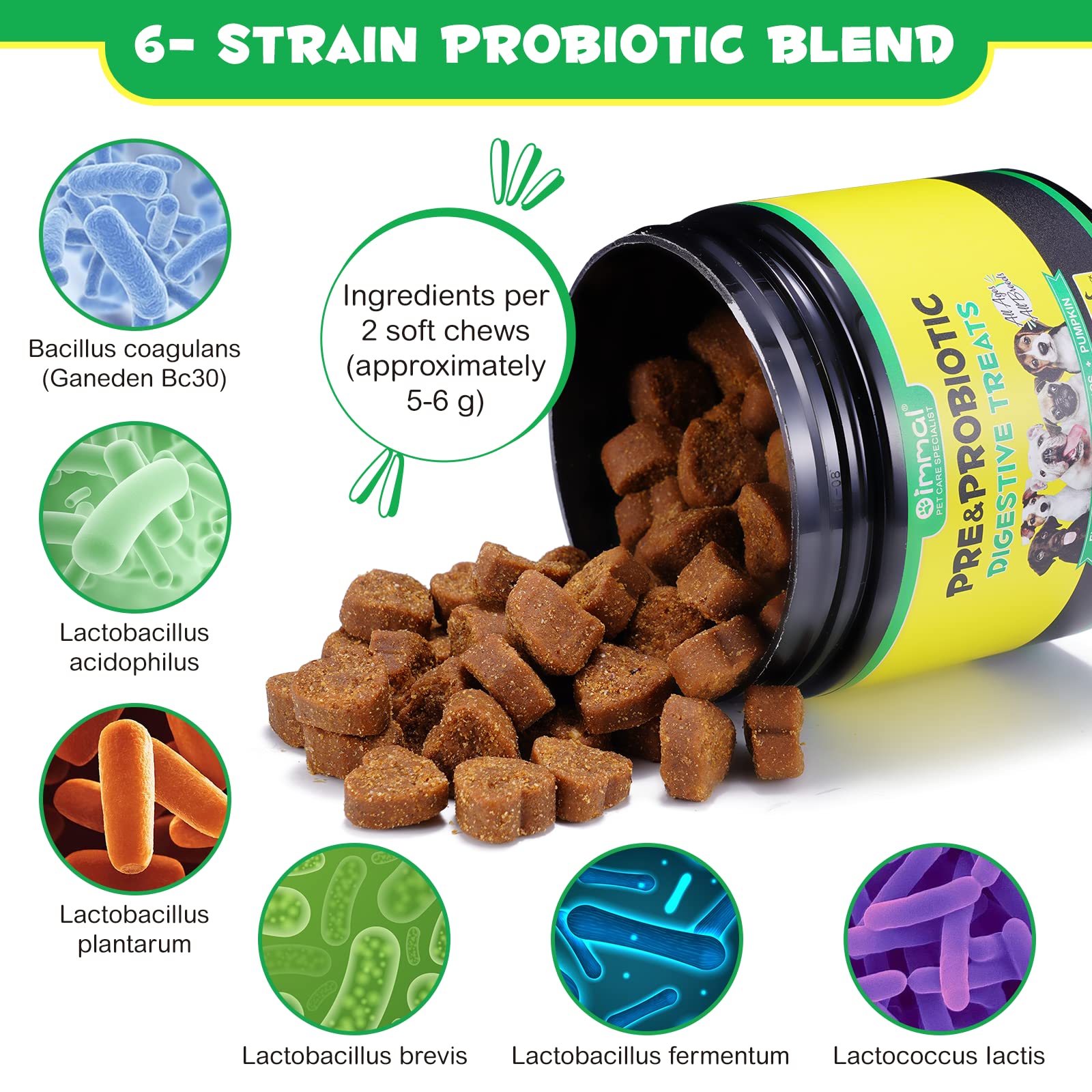 Oimmal omega3-6 pour peau poil chien: peau et poil sains