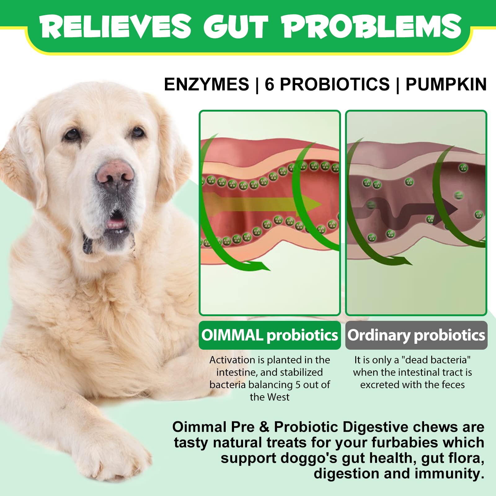 Oimmal probiotiques digestifs chien tout âge: convient à toutes tailles