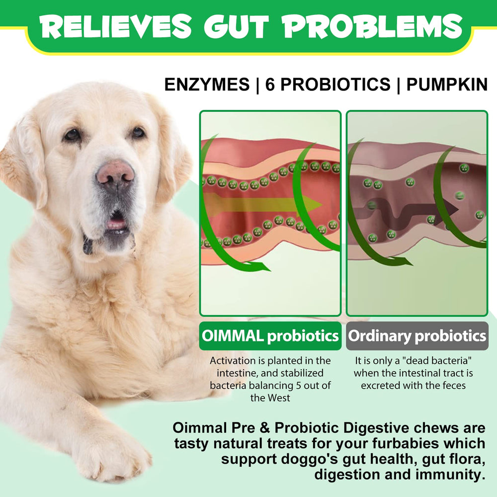 Oimmal probiotiques digestifs chien tout âge: convient à toutes tailles
