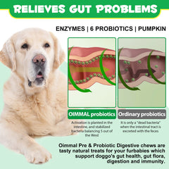 Oimmal probiotiques digestifs chien tout âge: convient à toutes tailles