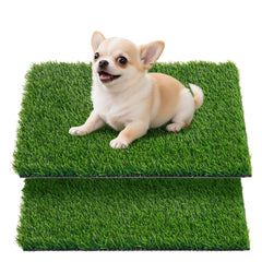 Oiyeefo gazon artificiel chien bac d'entraînement intérieur : hygiène facilitée