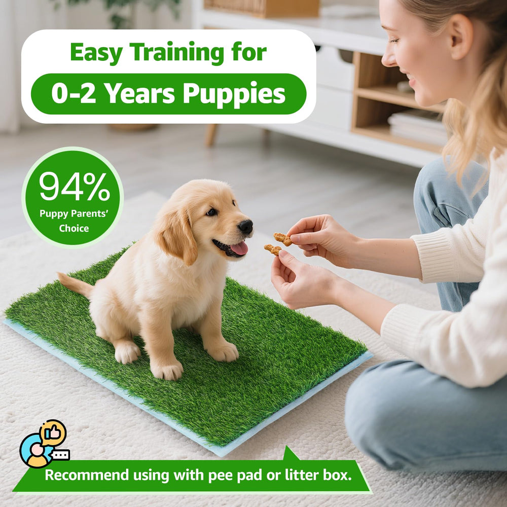 Oiyeefo herbe artificielle chien texture-douce, sensation naturelle pour votre compagnon.