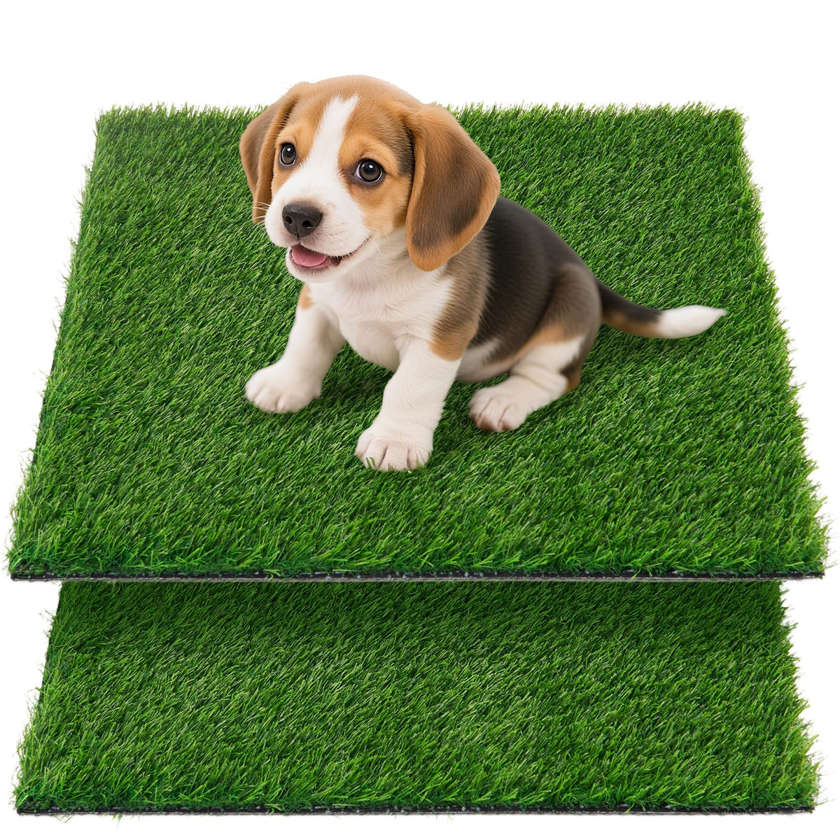 Oiyeefo tapis gazon artificiel pour chien – parfait pour apprentissage toilette intérieur