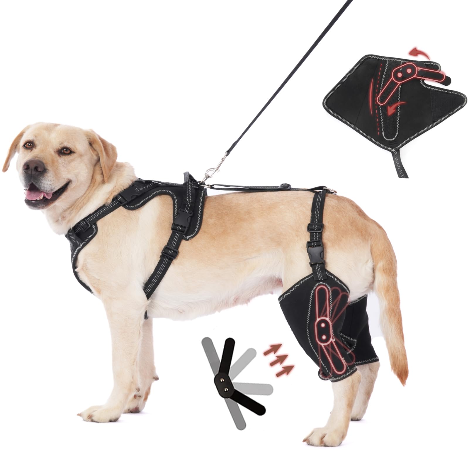 Orthèse OJLUOJ hanche chien, vue avant, soutien stable pour la mobilité.