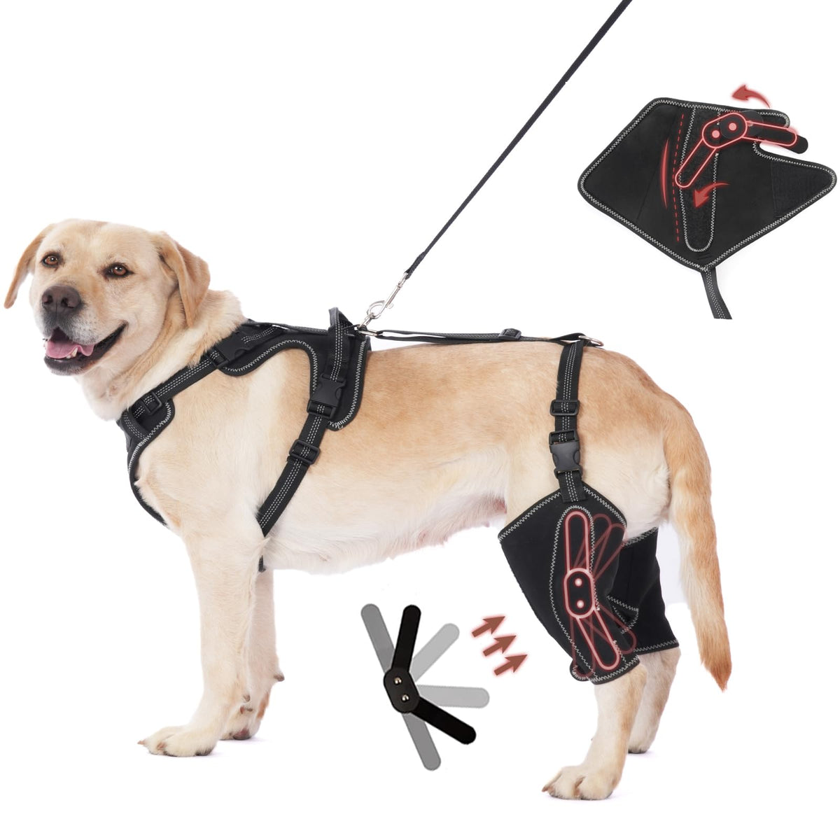Orthèse OJLUOJ hanche chien, vue avant, soutien stable pour la mobilité.