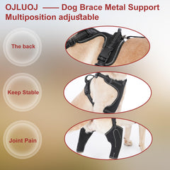 Corde de traction Ojluoj, chien, aide au déplacement.