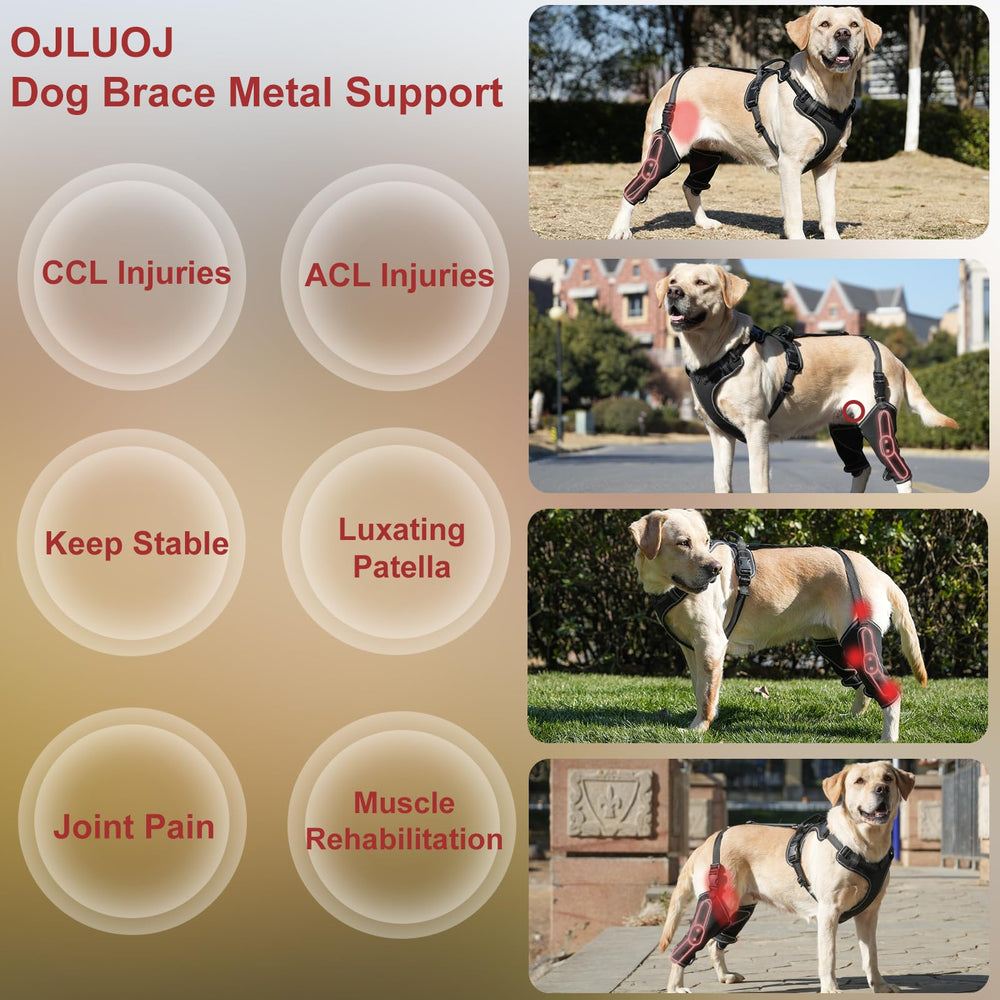 Orthèse hanche Ojluoj pour chien arriere, stabilité renforcee.