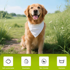 OKBA bandana chien impression thermique fait maison, simple à réaliser.
